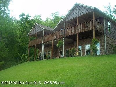 38 Oakwood Pointe Rd Arley, AL 35541