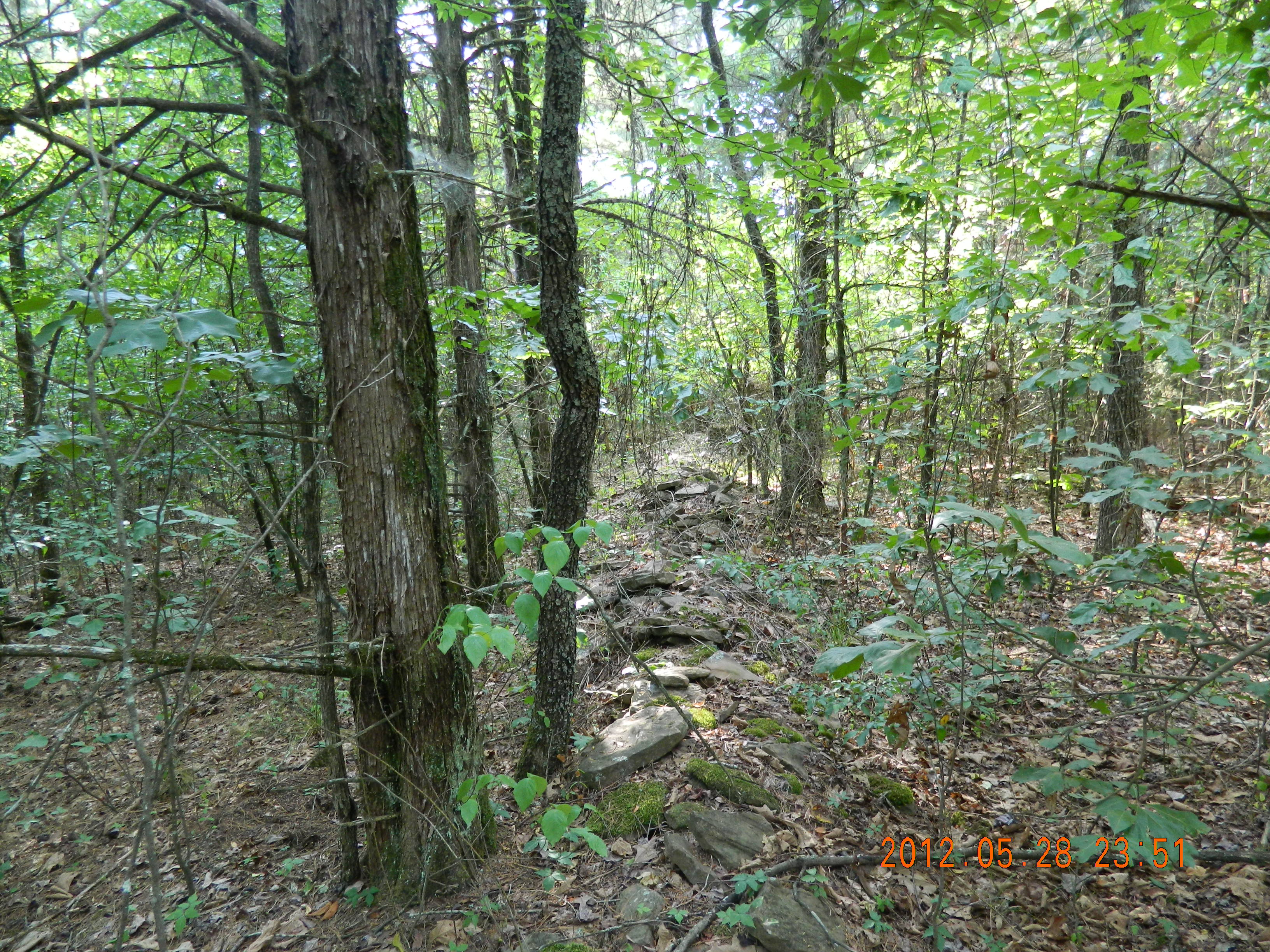 40 Acres Off Hwy 164 Hagarville,, Ar 72839 Hagarville, AR 72839