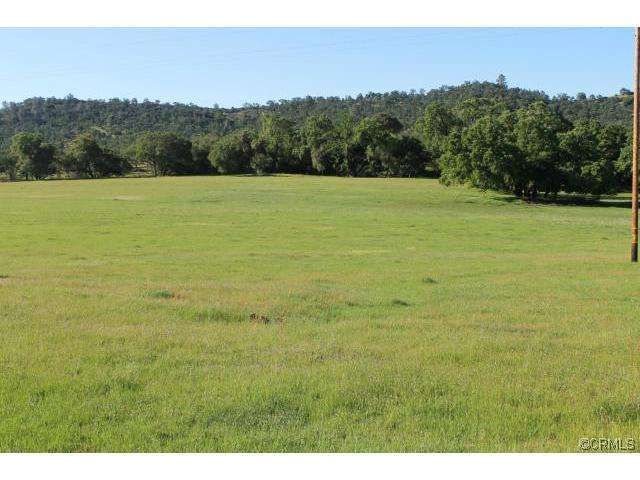 4286 PENON BLANCO Road Coulterville, CA 95311