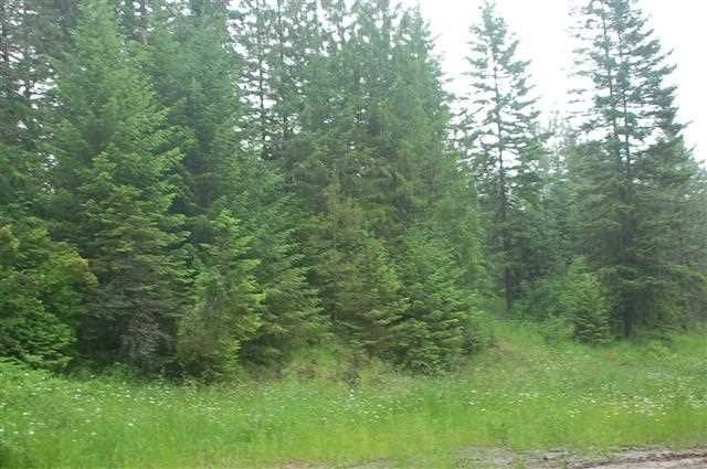 Lot 17 Red Willow Road Out Of Area, Id 83537 Kendrick, ID 83537