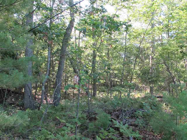 Tbd County Road 513 Rapid River, MI 49878