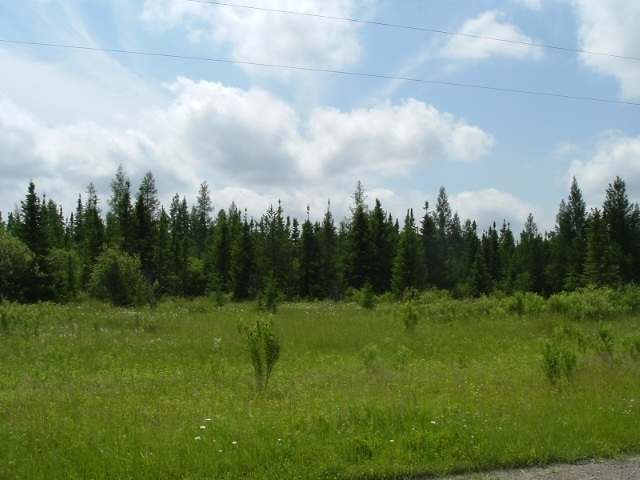 Heino Road Angora, MN 55703