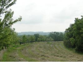 Lot 2 Stone Ridge Savannah, MO 64485