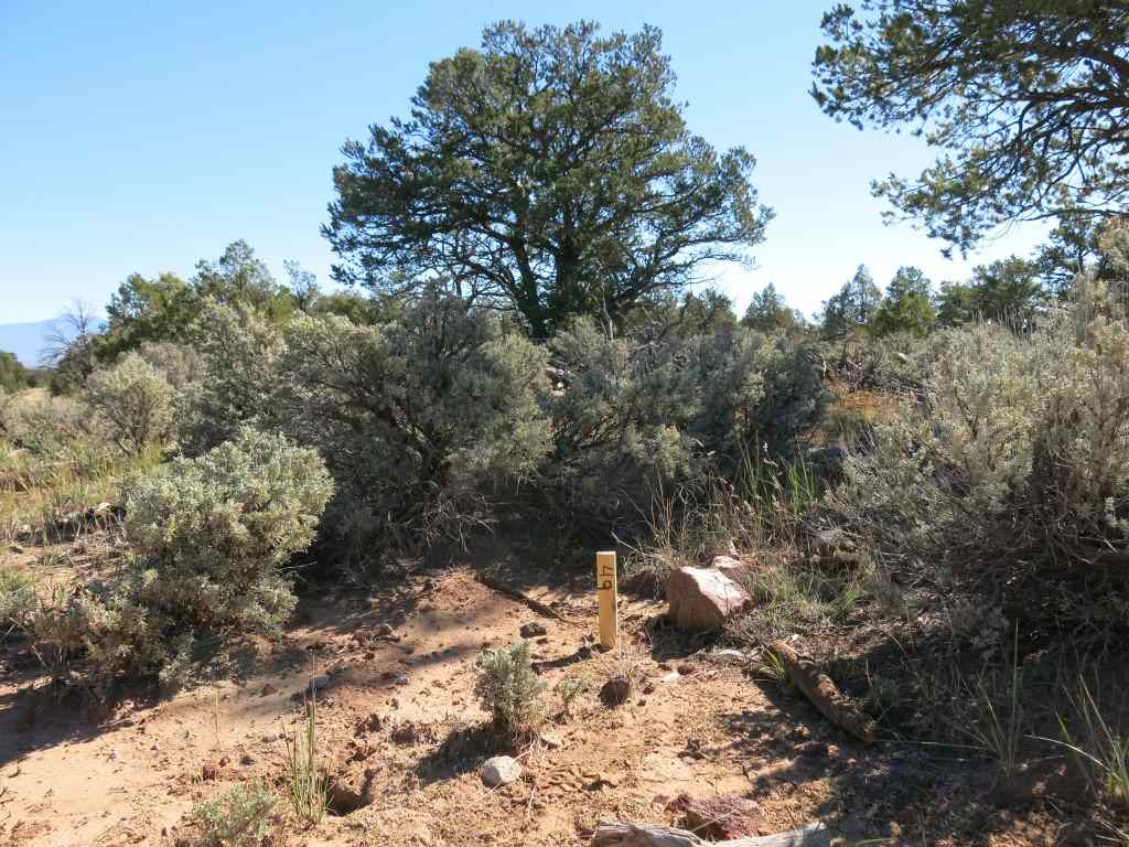 49 Servilleta Lot 49 Tres Piedras, NM 87577