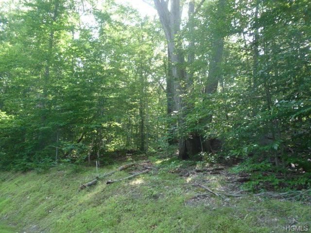 2 Amawalk Point Road Amawalk, NY 10501