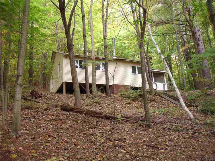 0 PINE TREE LA Canaan, NY 12029