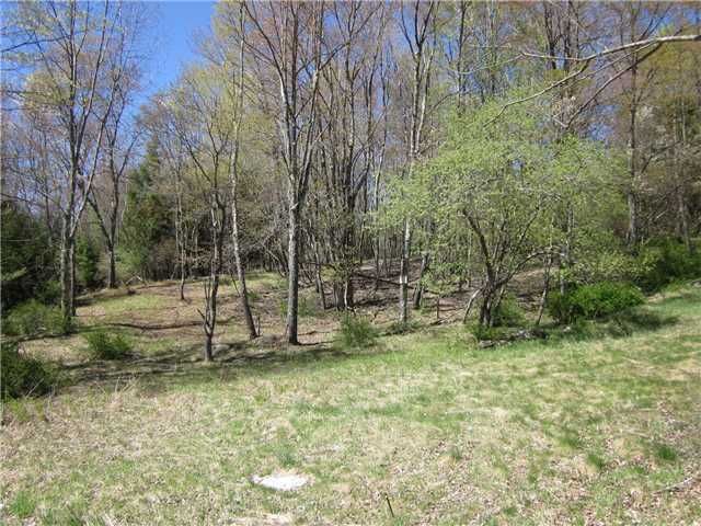 E Glenwild RD Glen Wild, NY 12738