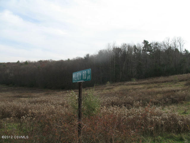 Lot #5 Milroy Road Millville, PA 17846