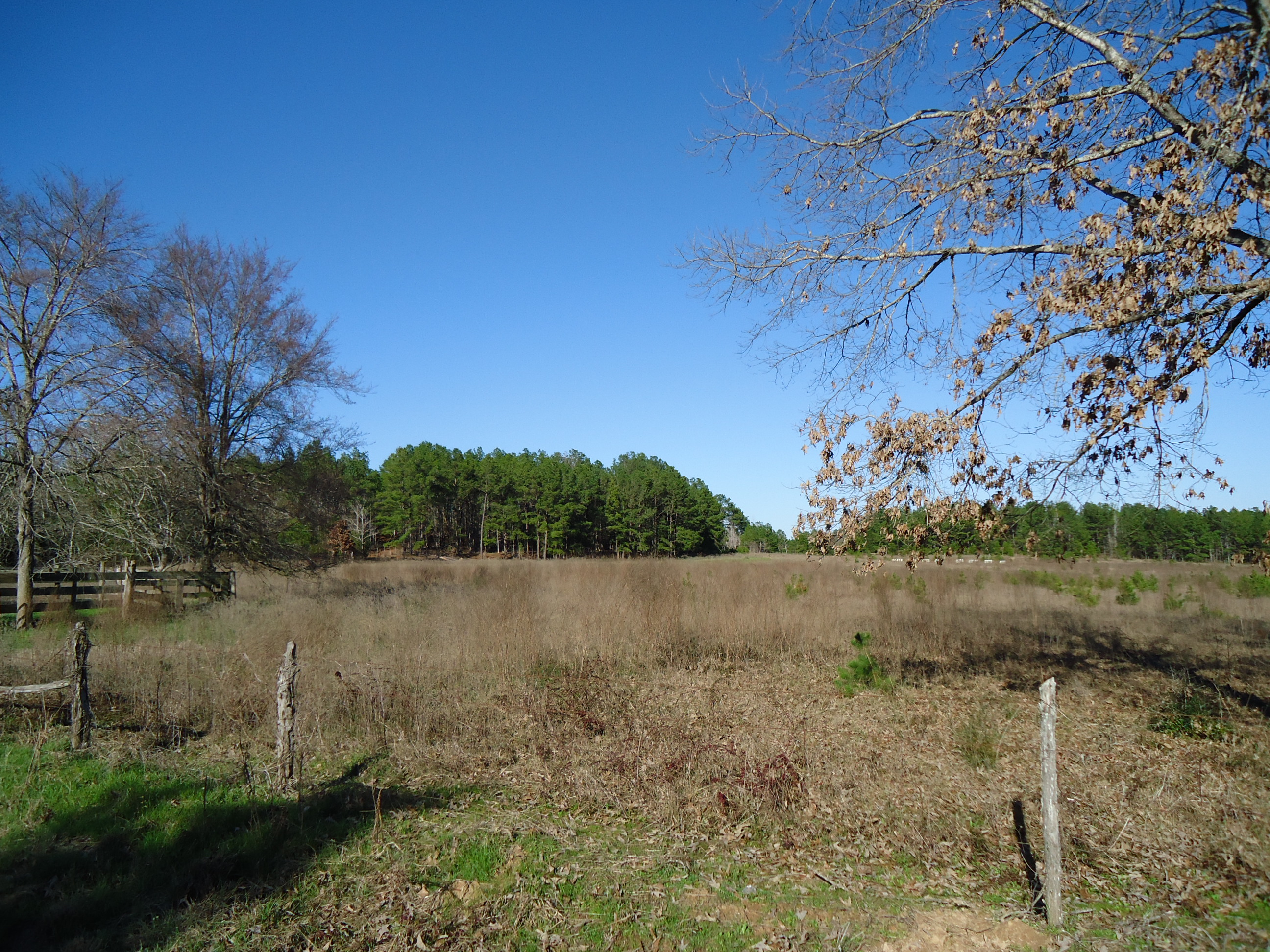 110 AC CR 2707 Alto, TX 75925