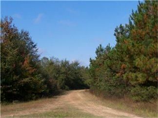 30 Ac FM 787 (2 Tracts) Saratoga, TX 77585