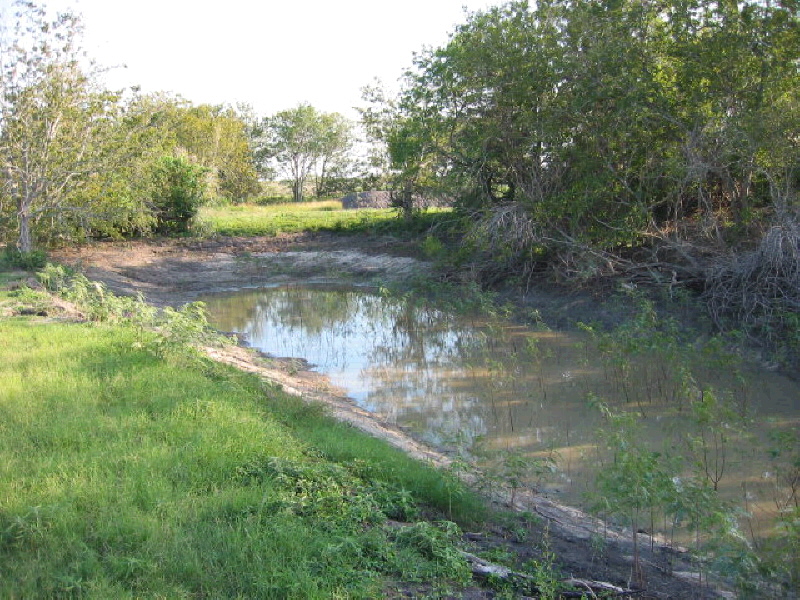 366.95ac Dedear Tivoli, TX 77990