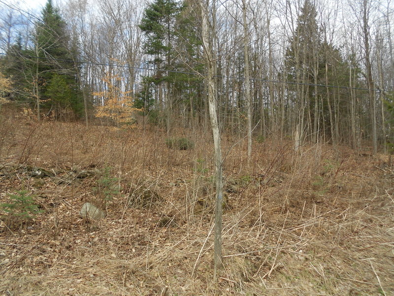 Lot #8 Hill Road Fairfield, VT 05455