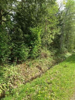 0 Weasel Run Lot: 10 Point Roberts, WA 98281