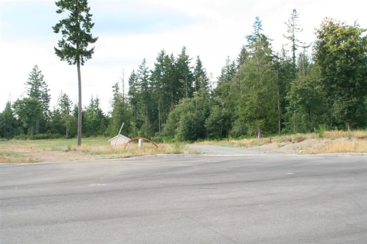 111 Hopkins Rd Lot: 2 Carbonado, WA 98323