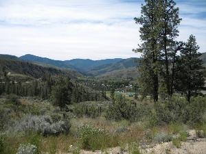 2 Stream View SP Lot: 2 Methow, WA 98834