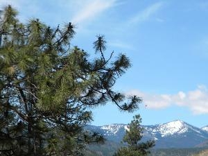 1 Lone Pine Tree Rd Lot: 1 Methow, WA 98834