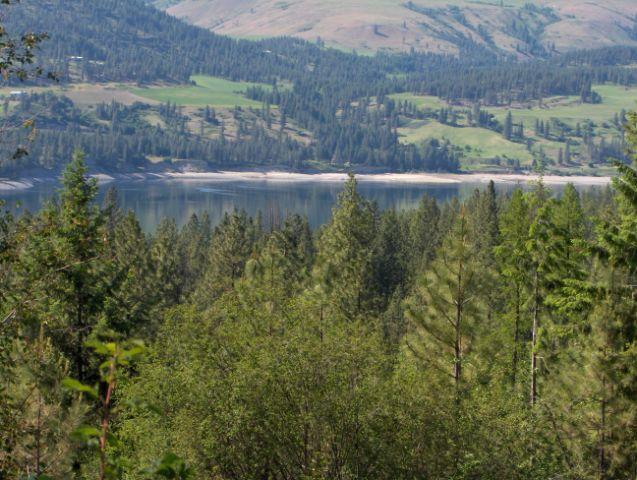 Lot A, Hwy 25 S Rice, WA 99167