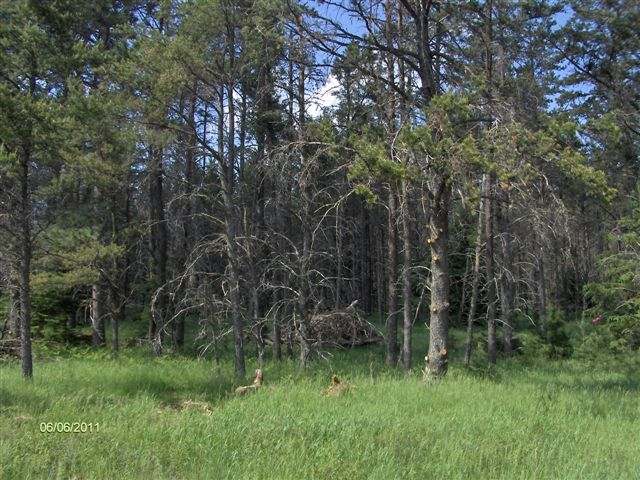 Lot 6 Plum Lake Dr Sayner, WI 54560